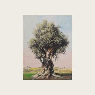 Wisdom of the Olive, Ancient Tree Painting
