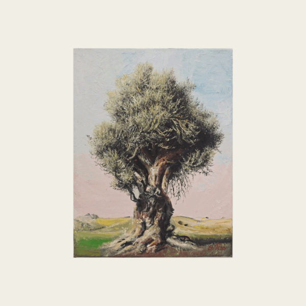 Wisdom of the Olive, Ancient Tree Painting